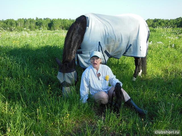 14341_horse2.jpg